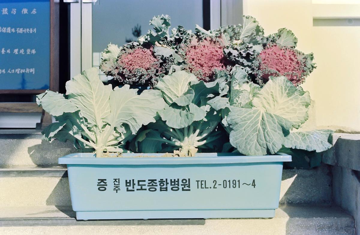 농촌지도소
