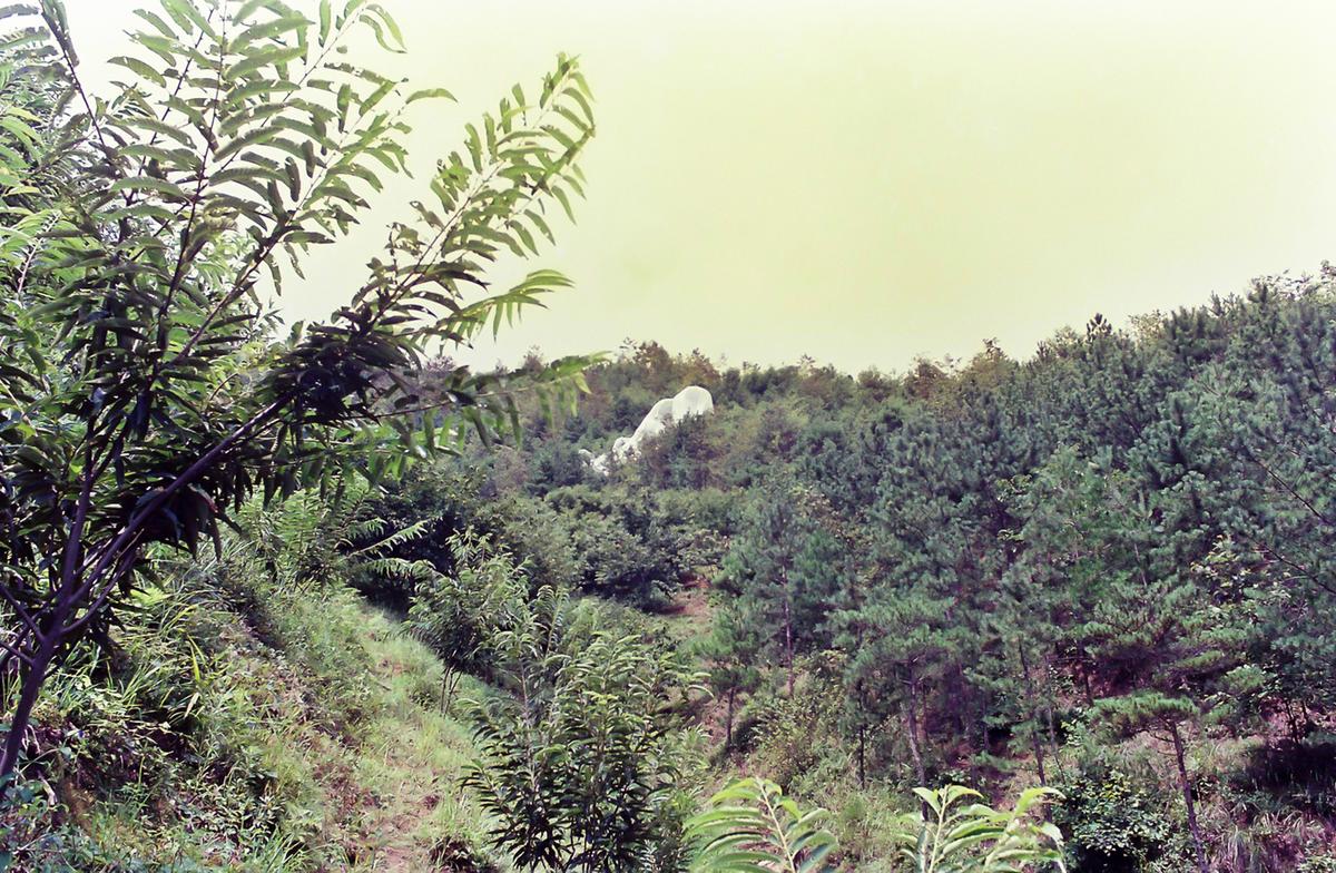 풍경