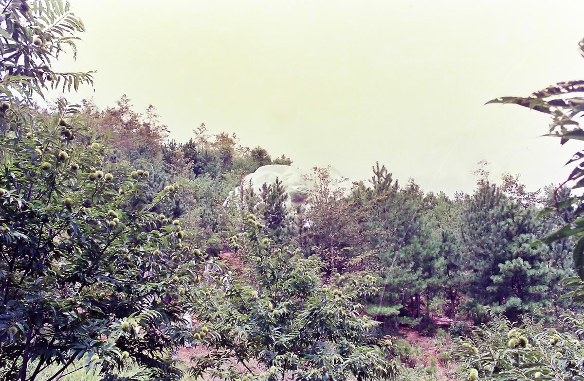 풍경