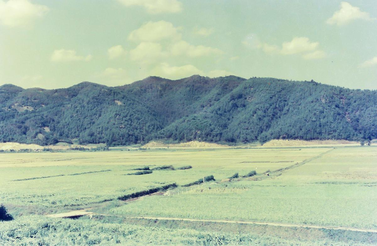 풍경