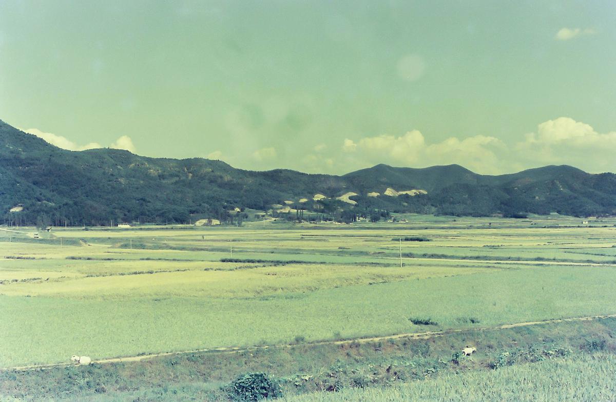 풍경