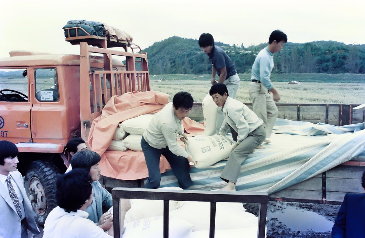 현장
