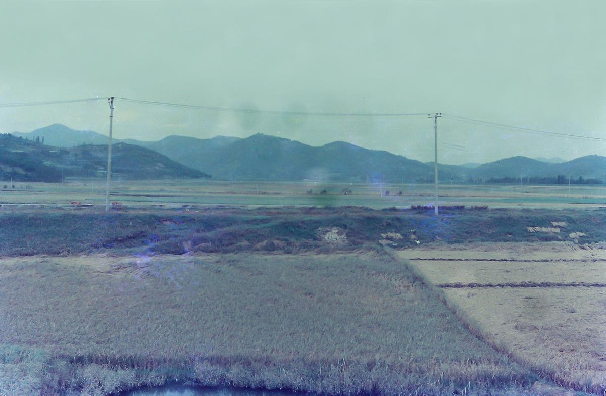 추수