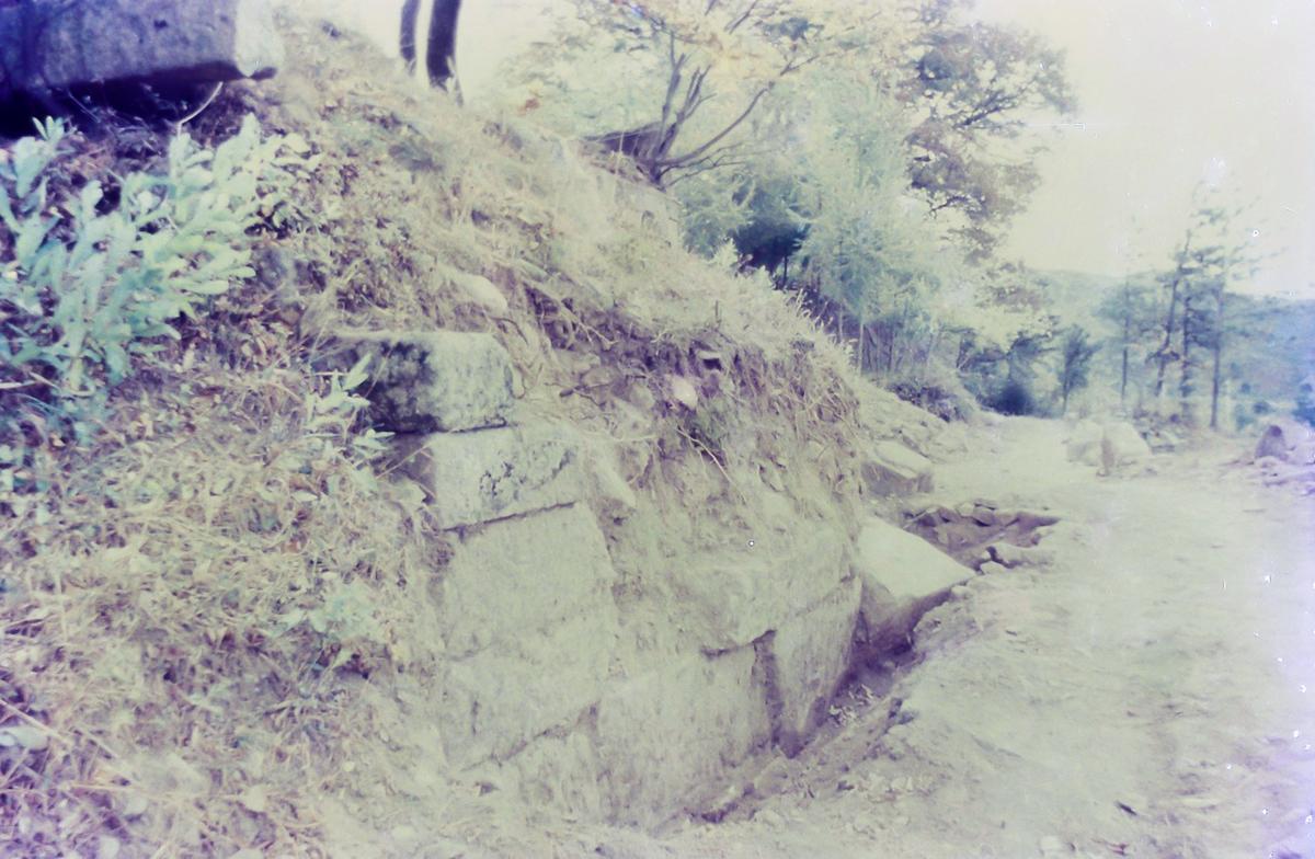 풍경