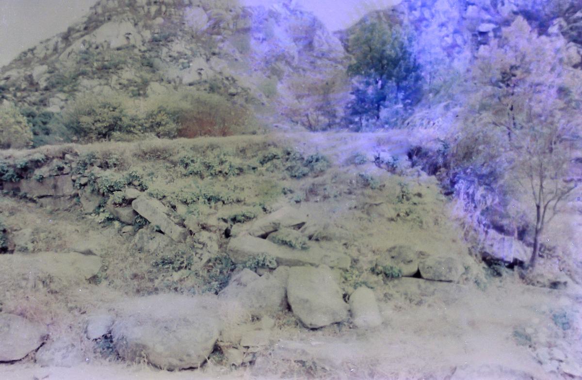 풍경