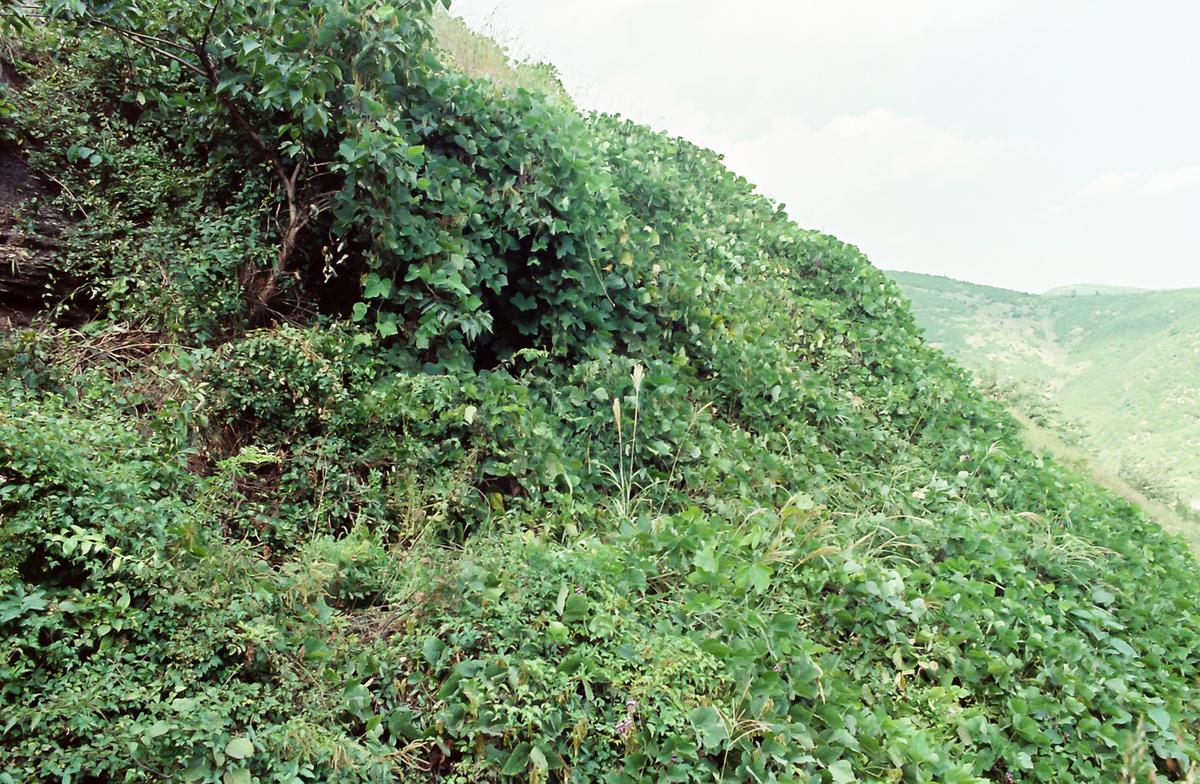 풍경