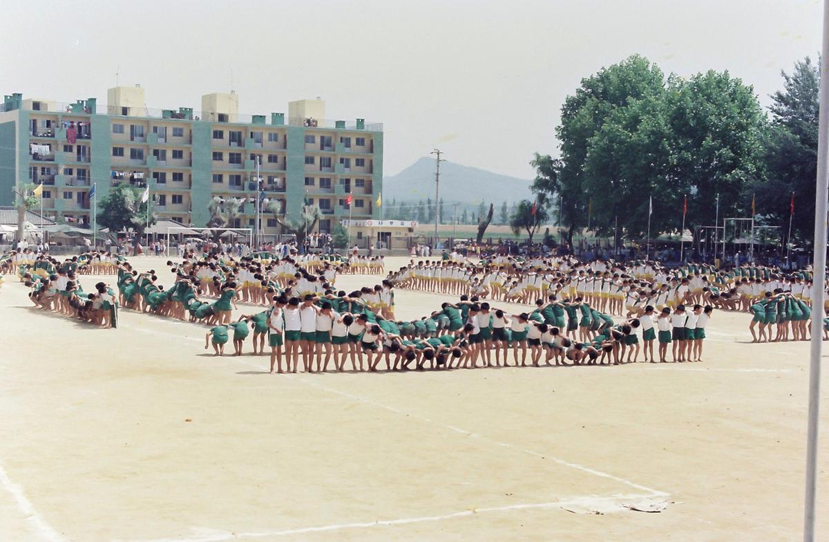 체육대회