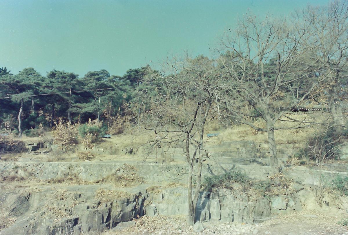 풍경
