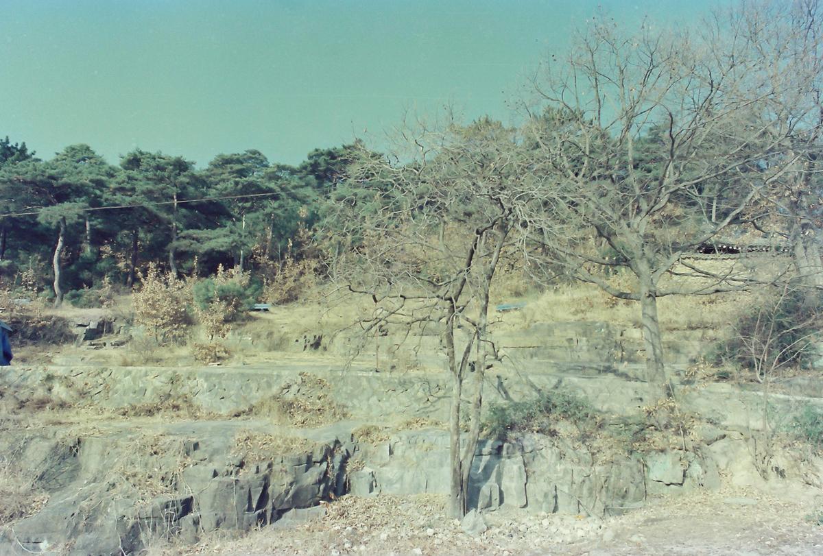 풍경