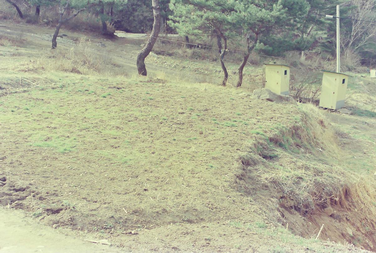 풍경
