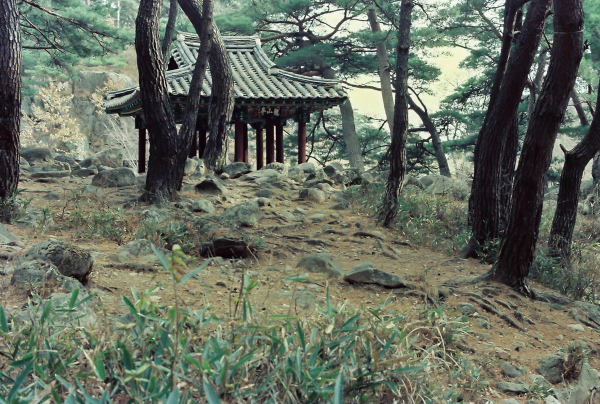 풍경