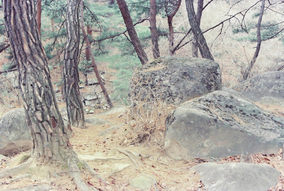 풍경