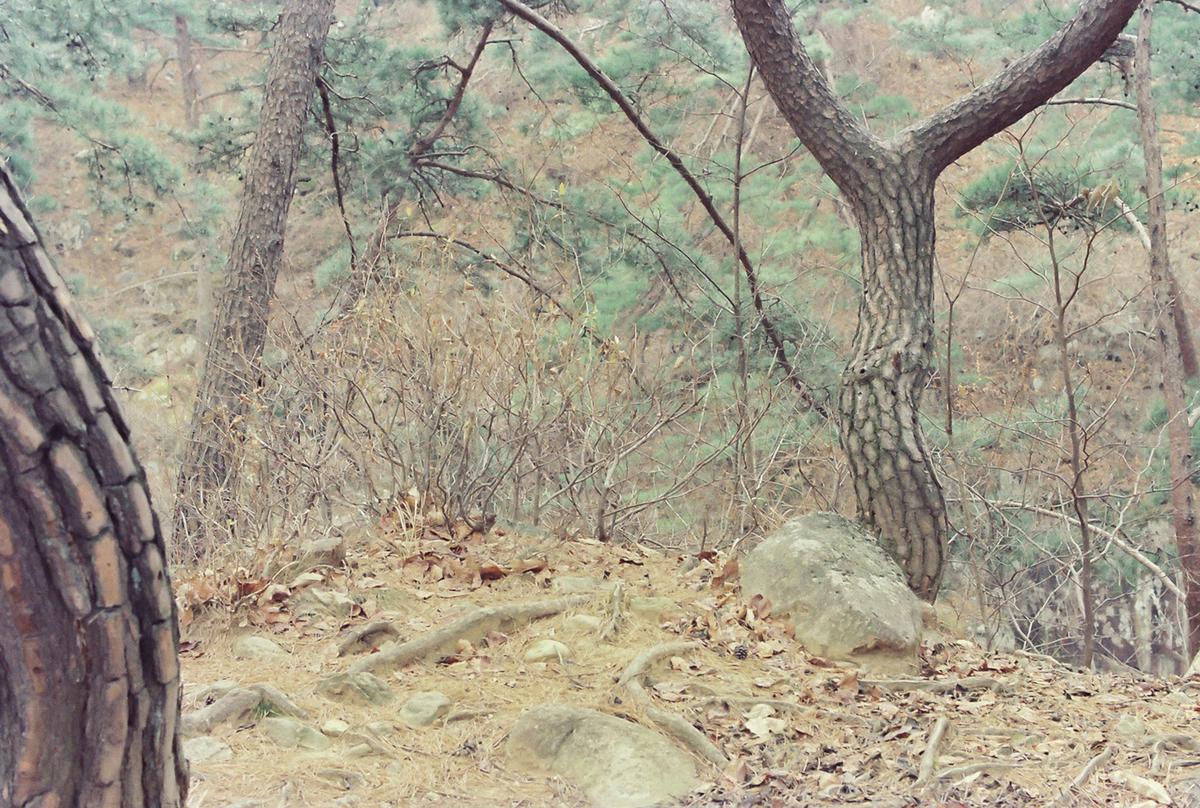 풍경