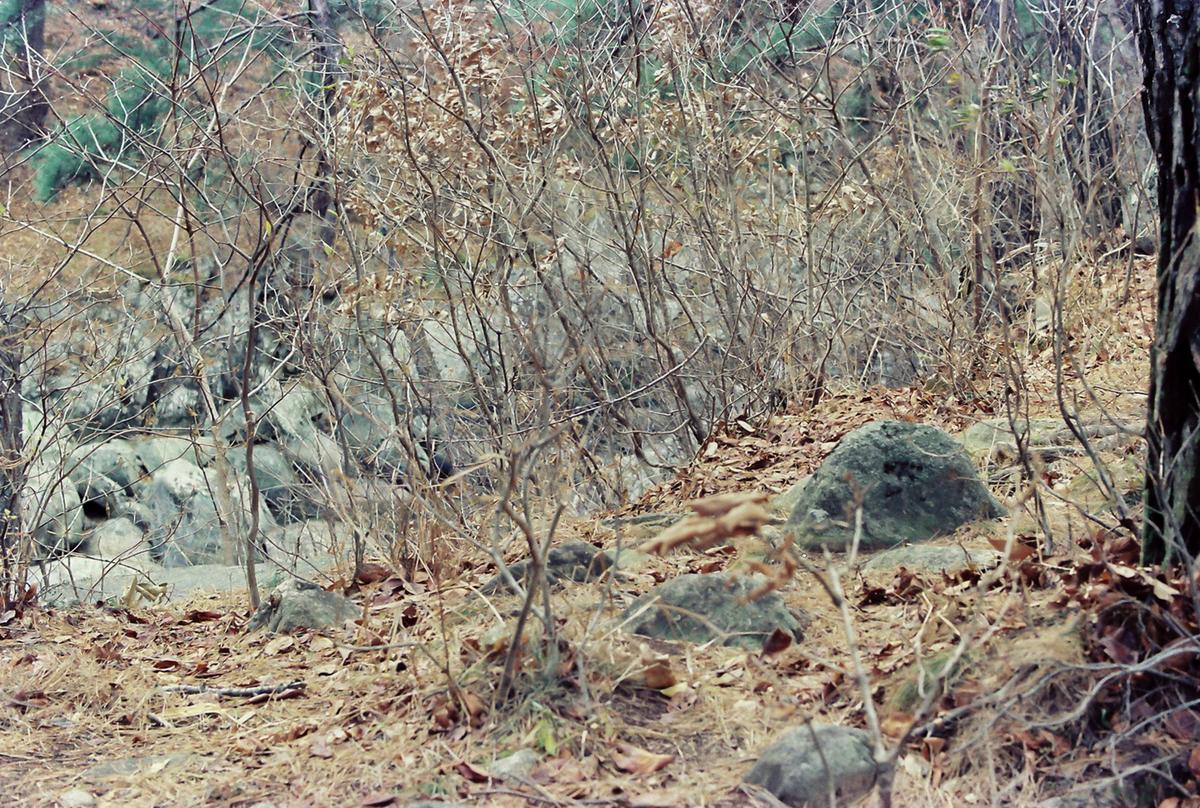 풍경