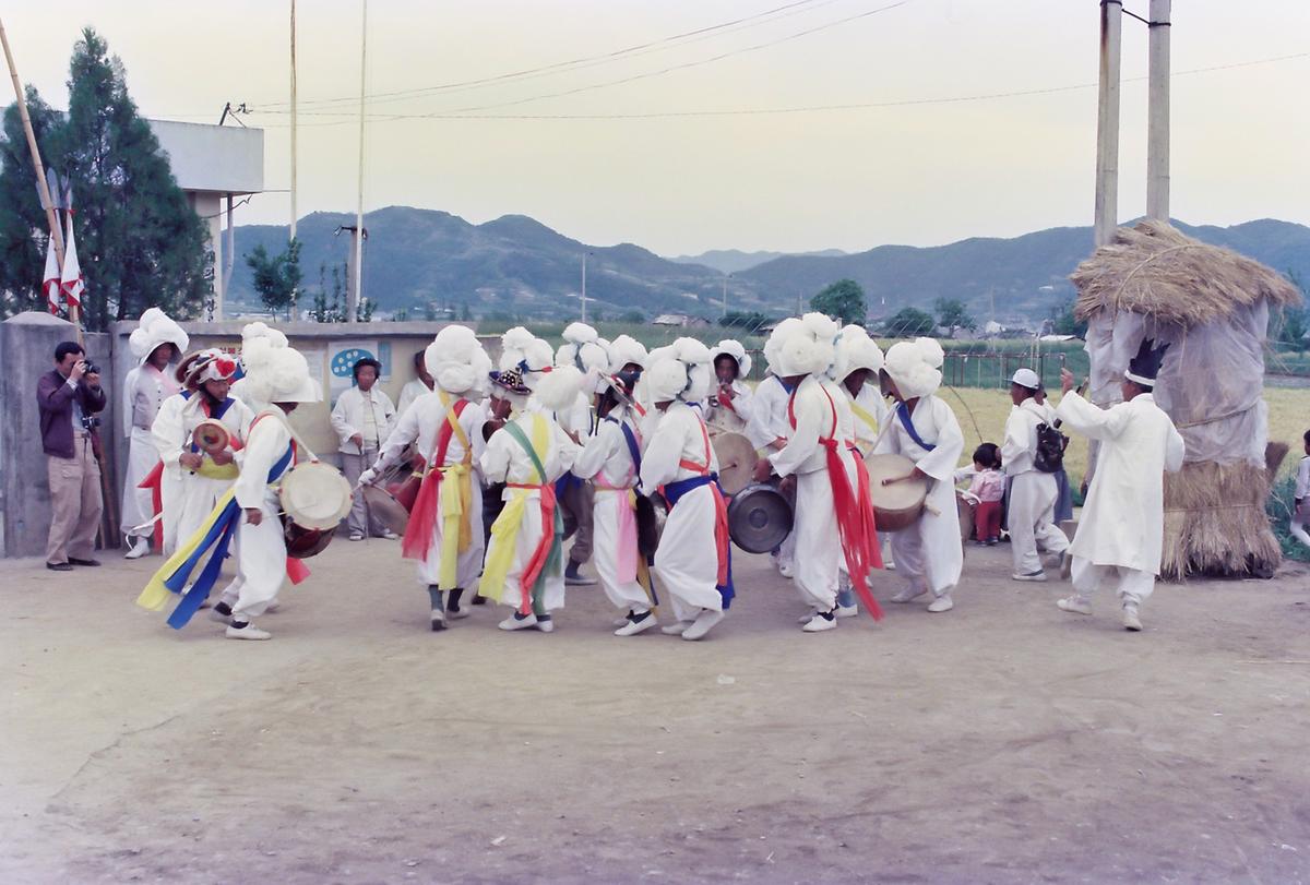 85 모내기 연시회
