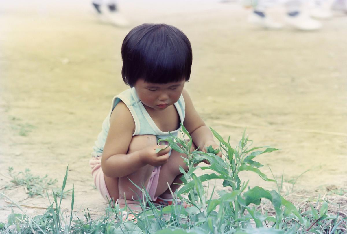 85 모내기 연시회