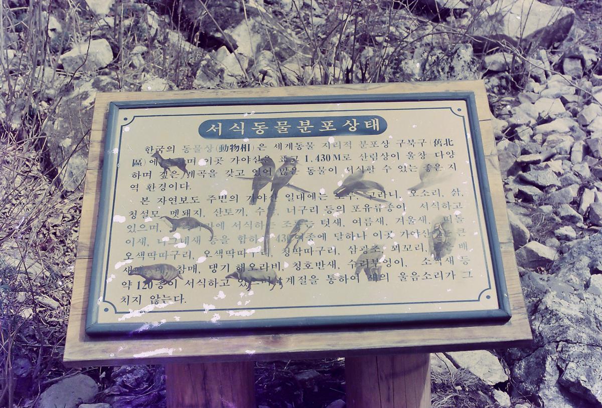 안내문