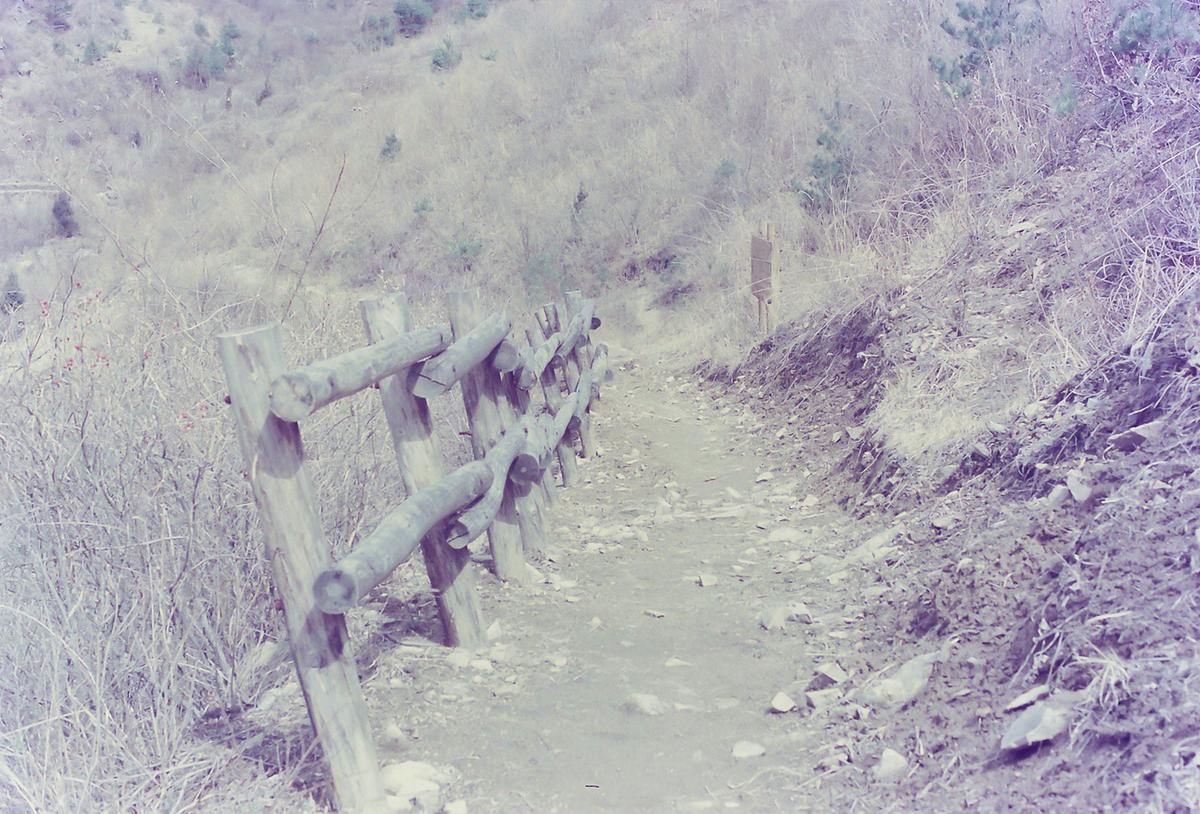 풍경