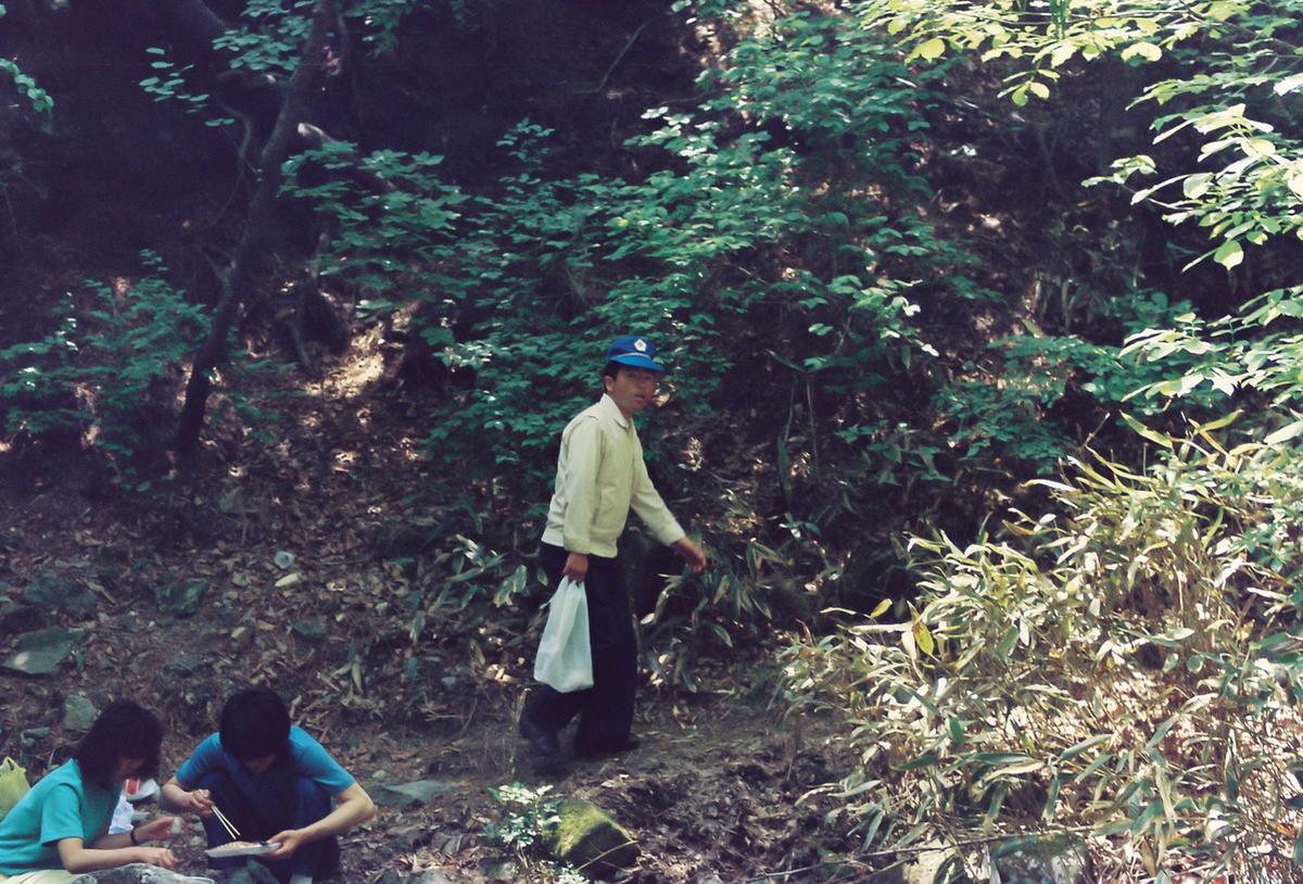 합동단속