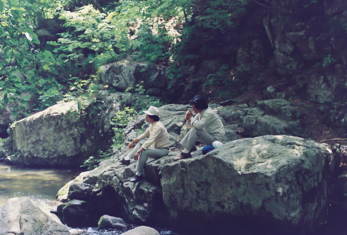 합동단속