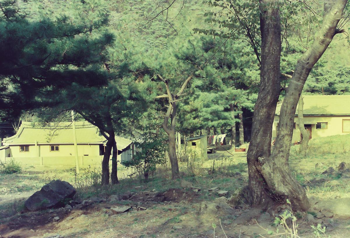 풍경