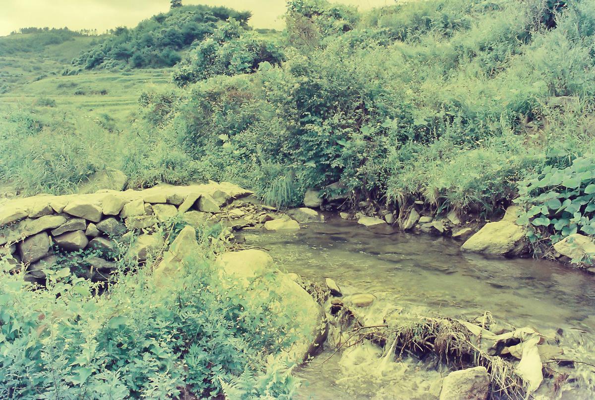 해인사