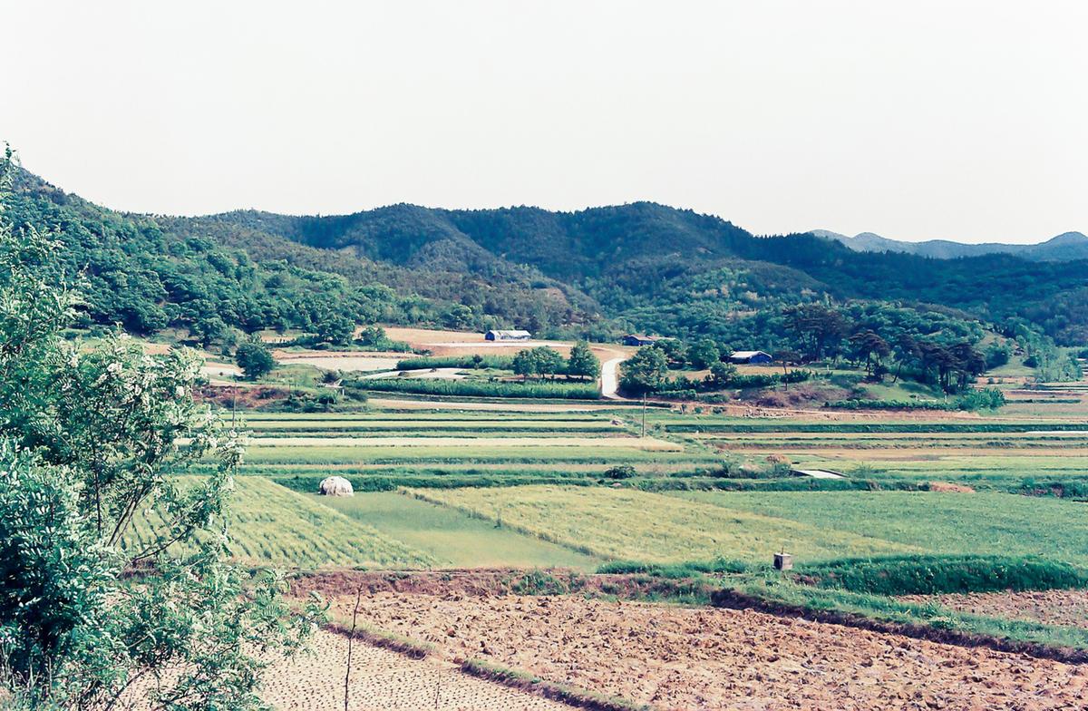 마을풍경