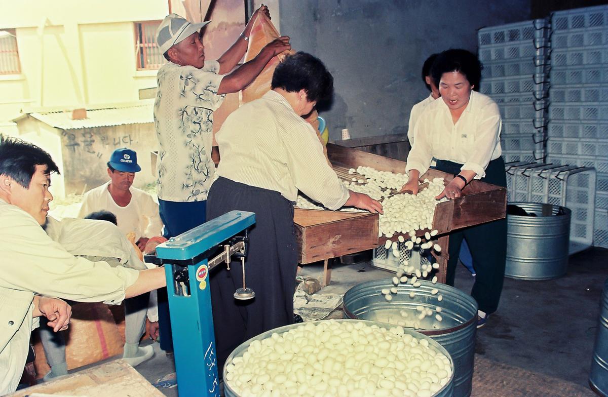 누에생산 현장방문