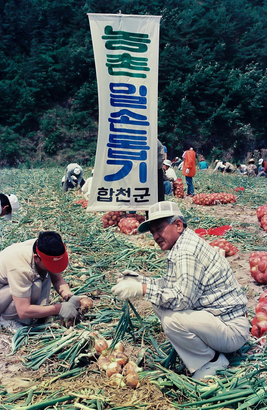 농촌 일손돕기