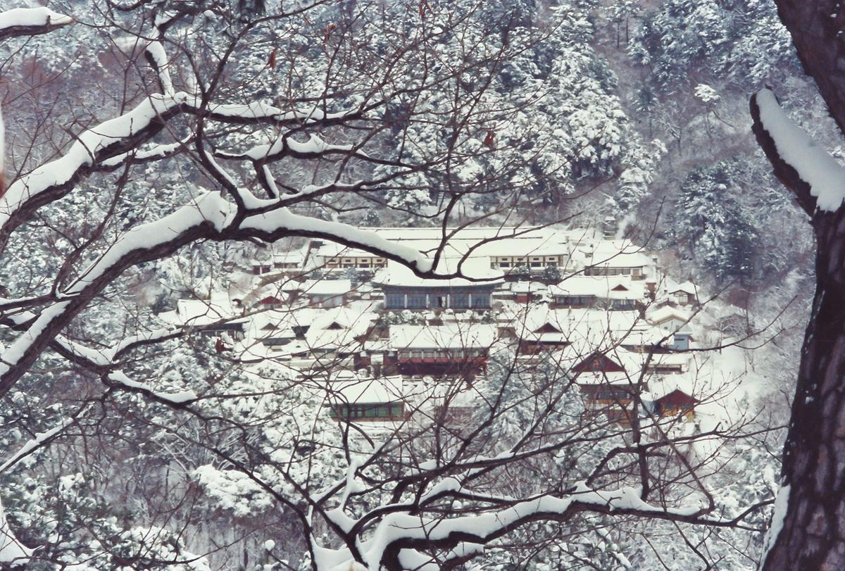 설경