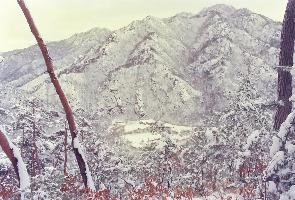 설경
