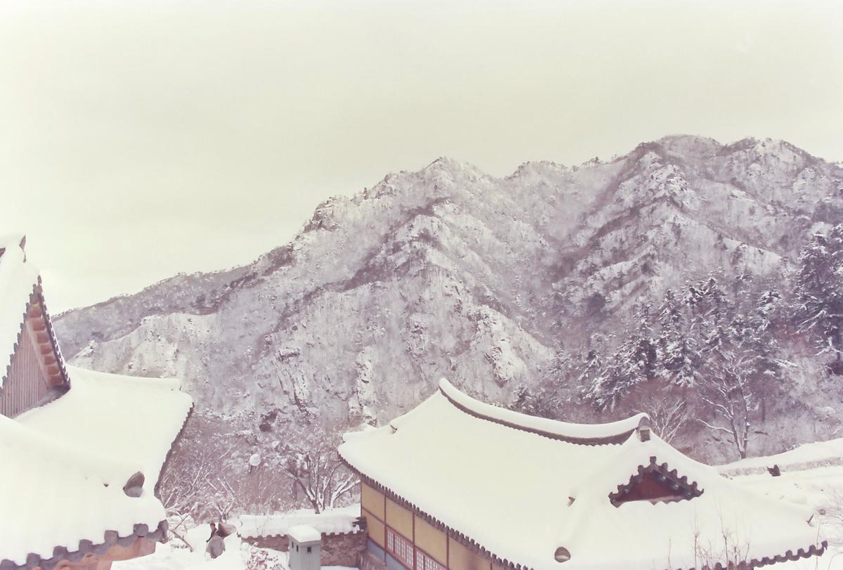설경