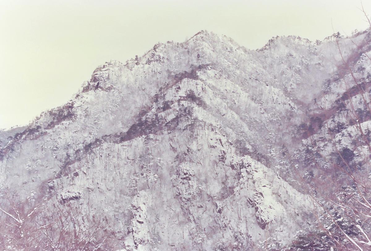 설경