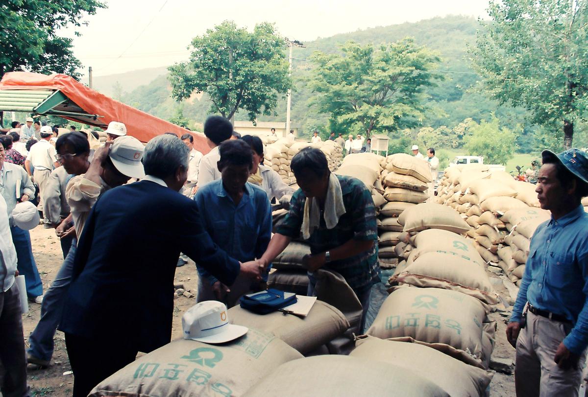 쌀 수매현장