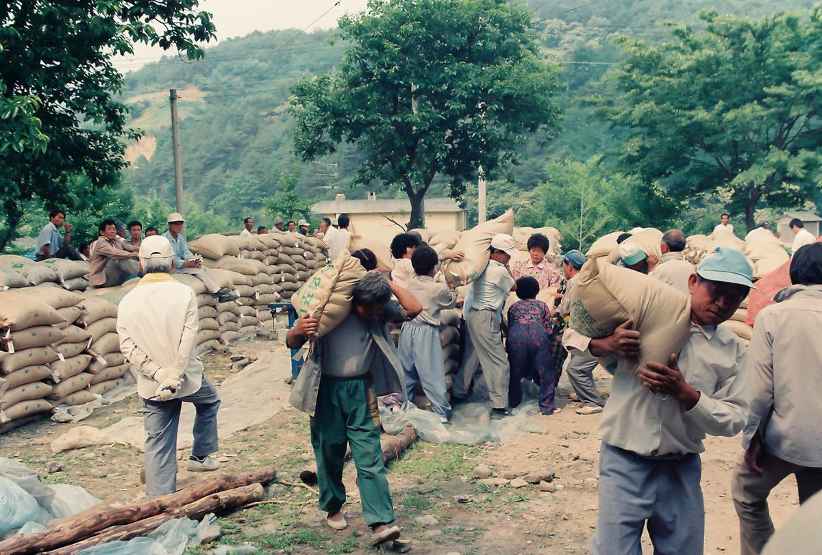 쌀 수매현장