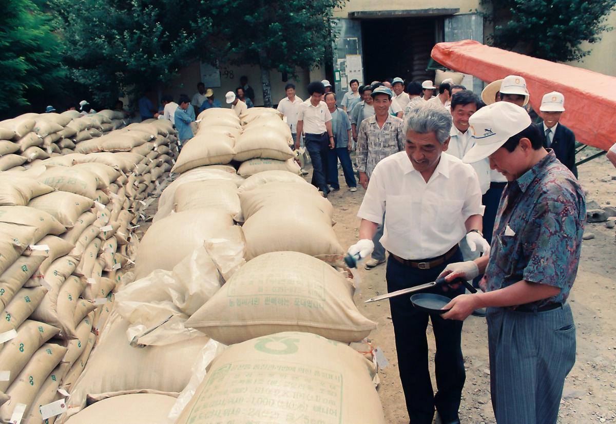 쌀 수매현장