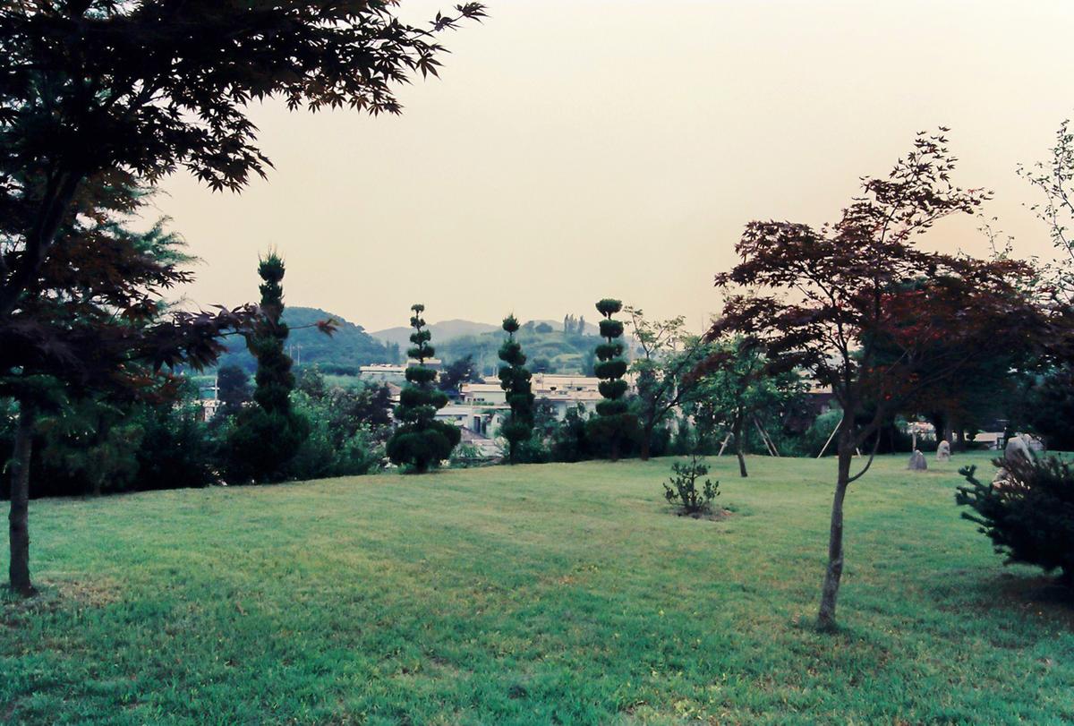 군청 앞 전경