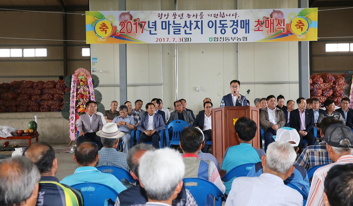 2017년산건마늘산지경매초매식