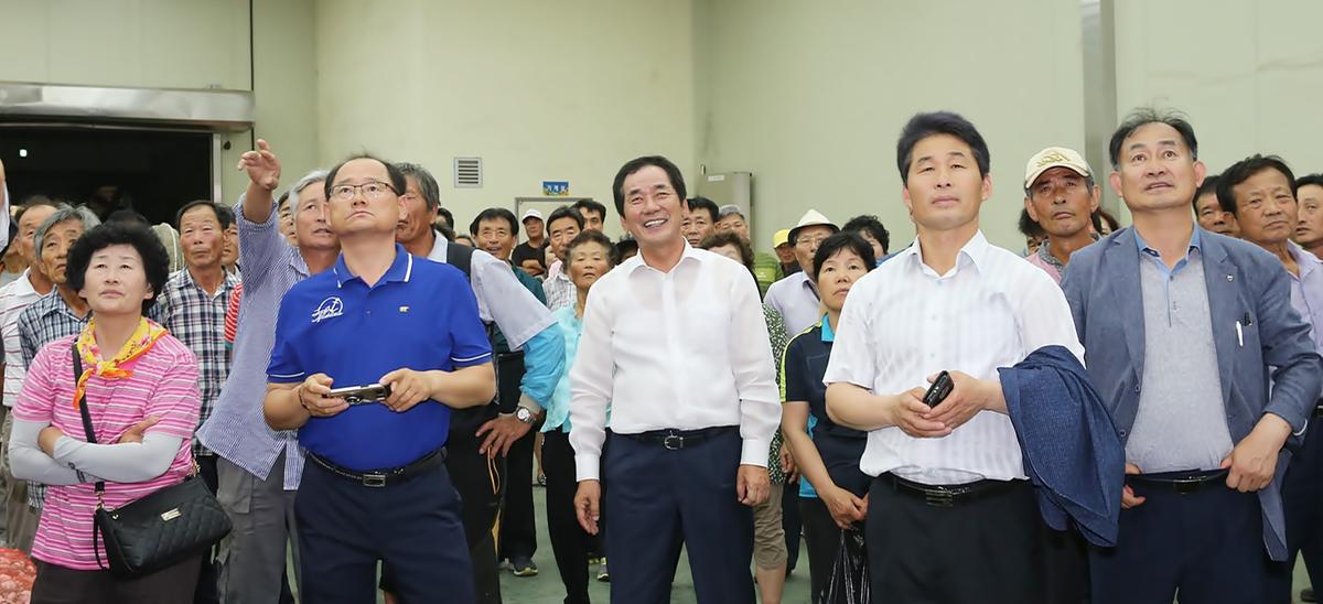 합천유통2017년산건마늘산지경매초매식
