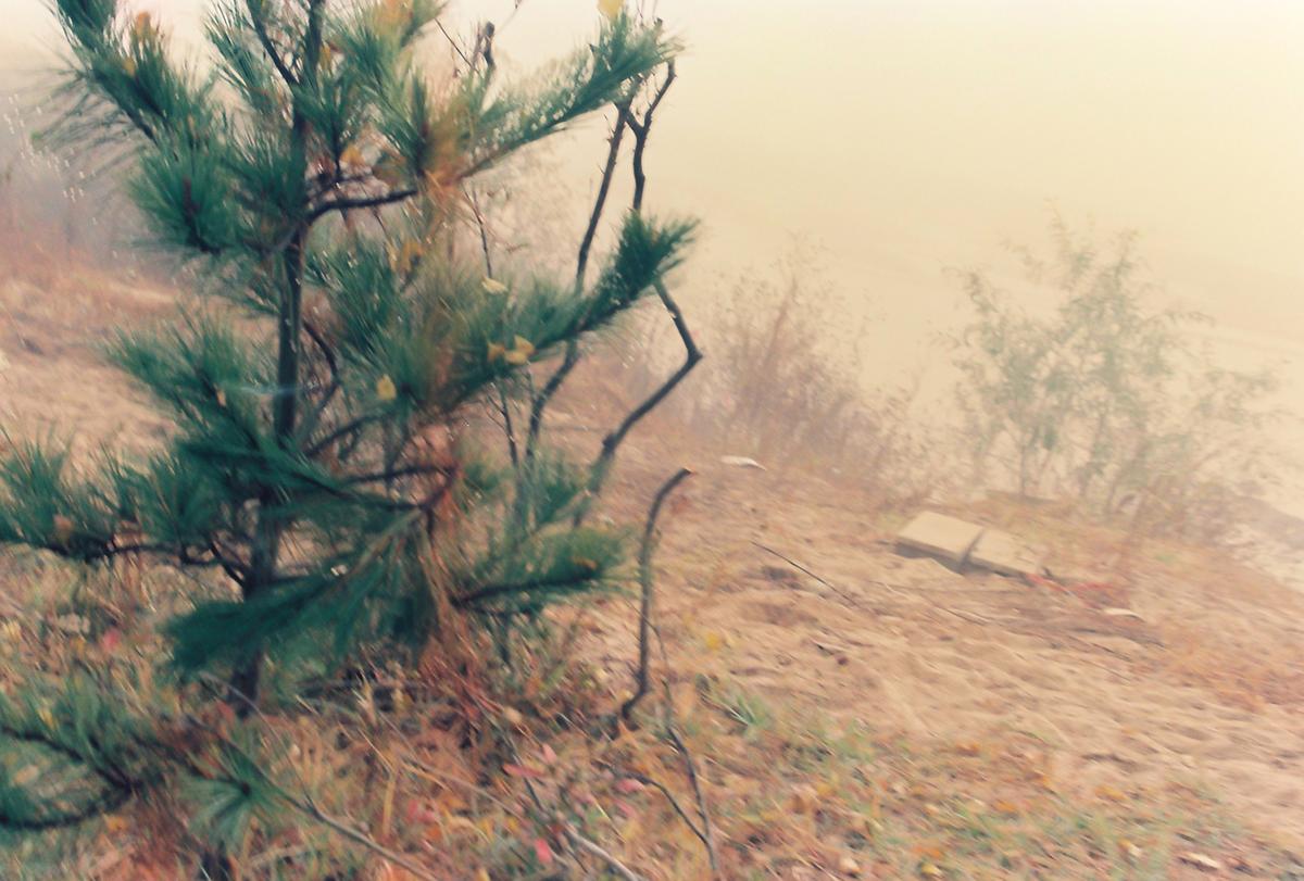 제8회 대야문화제