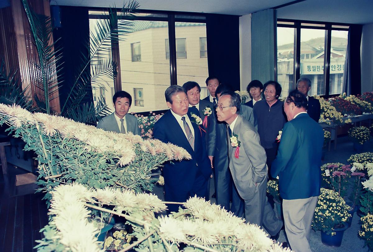 합천종합고등학교 국화전시회