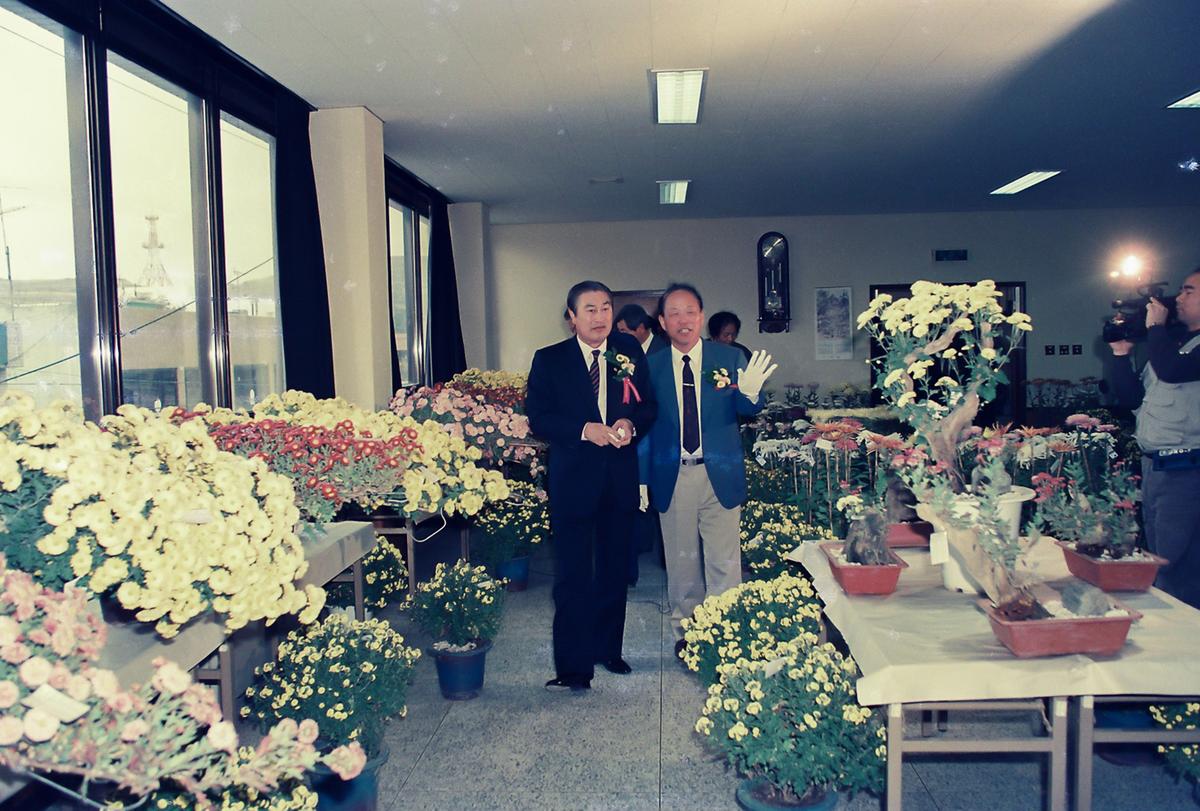 합천종합고등학교 국화전시회