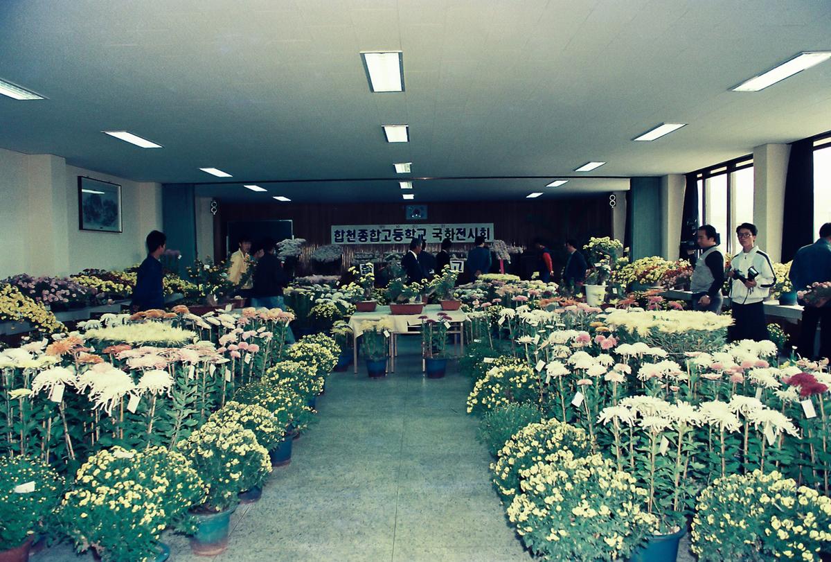 합천종합고등학교 국화전시회