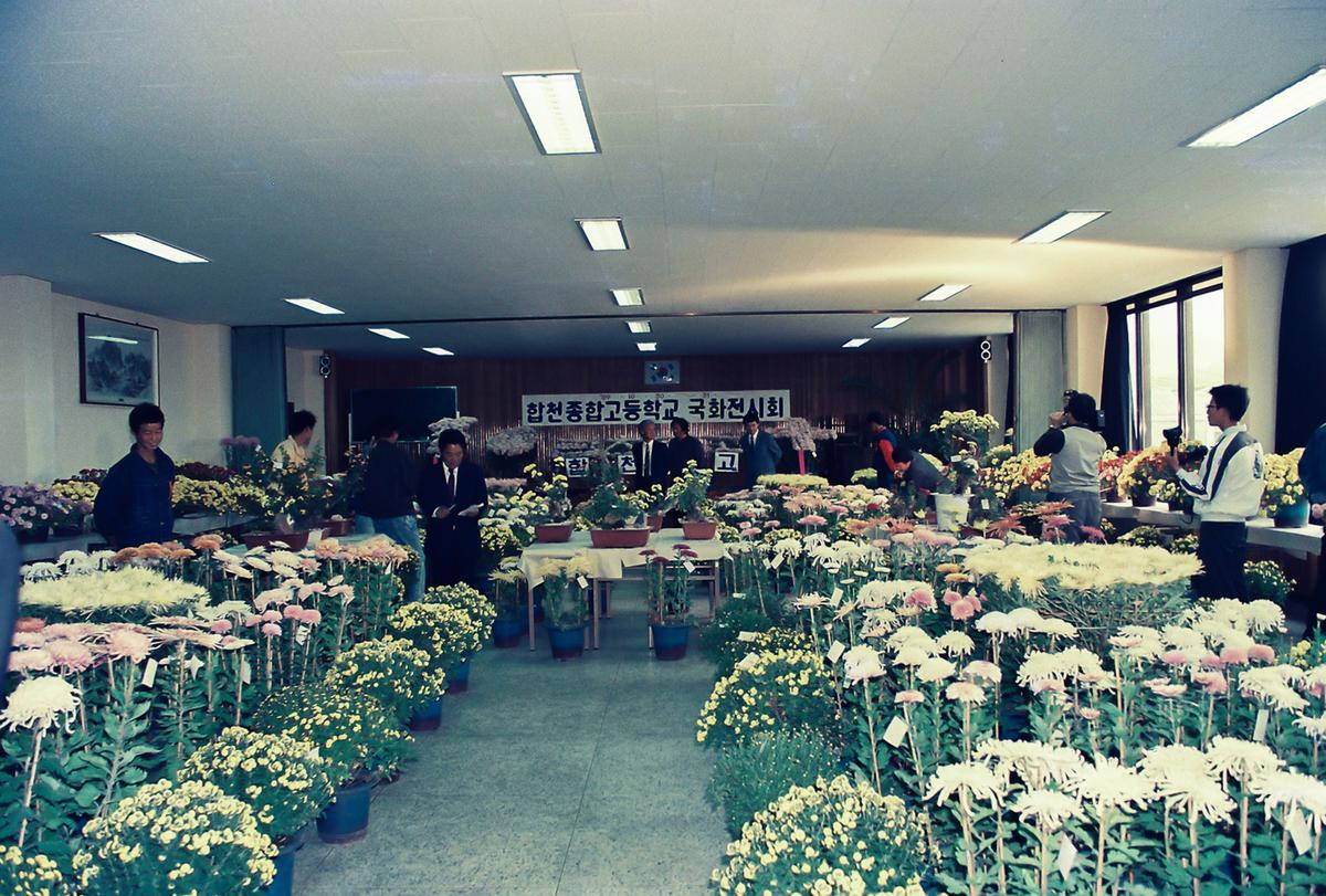 합천종합고등학교 국화전시회