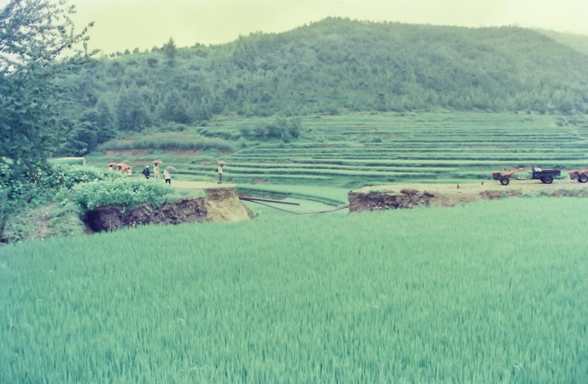수해현장