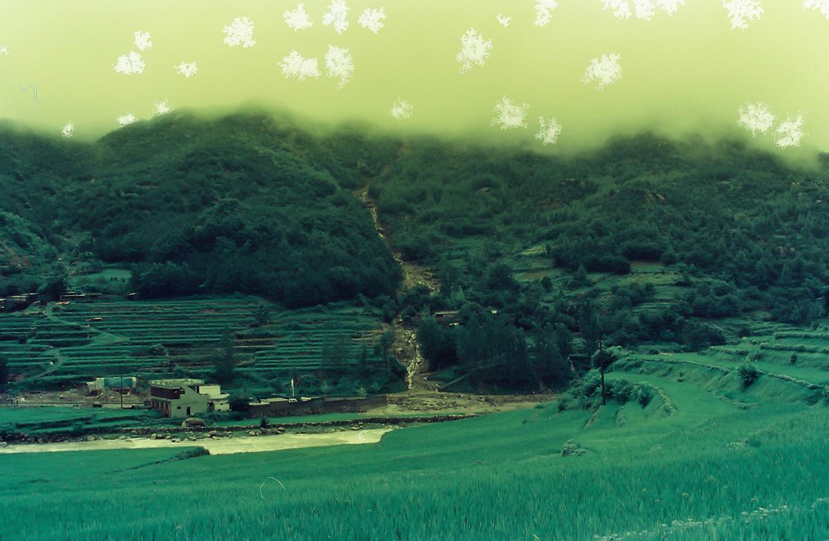 수해현장