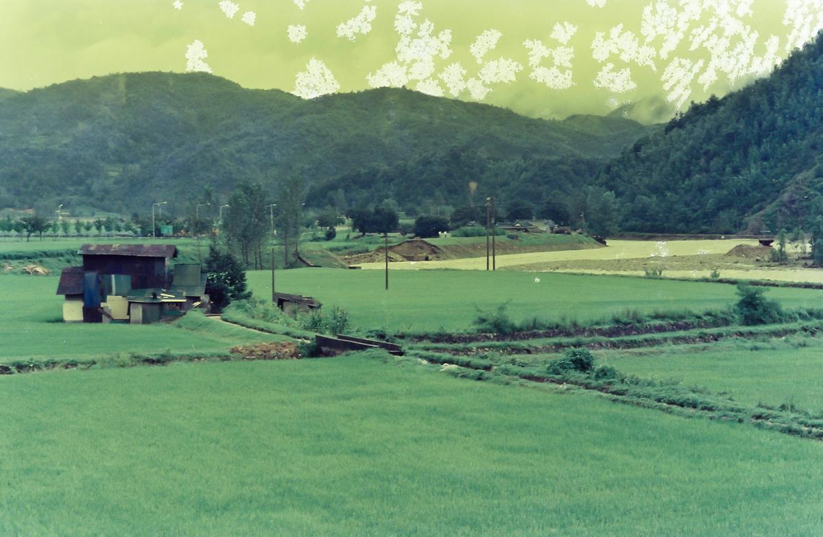 수해현장