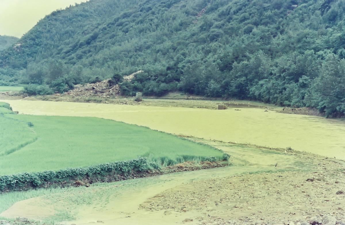 수해현장