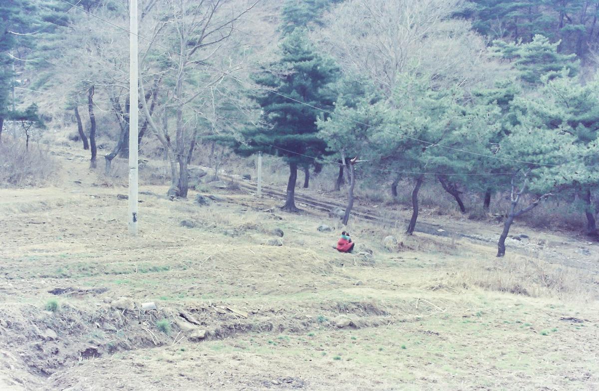 풍경