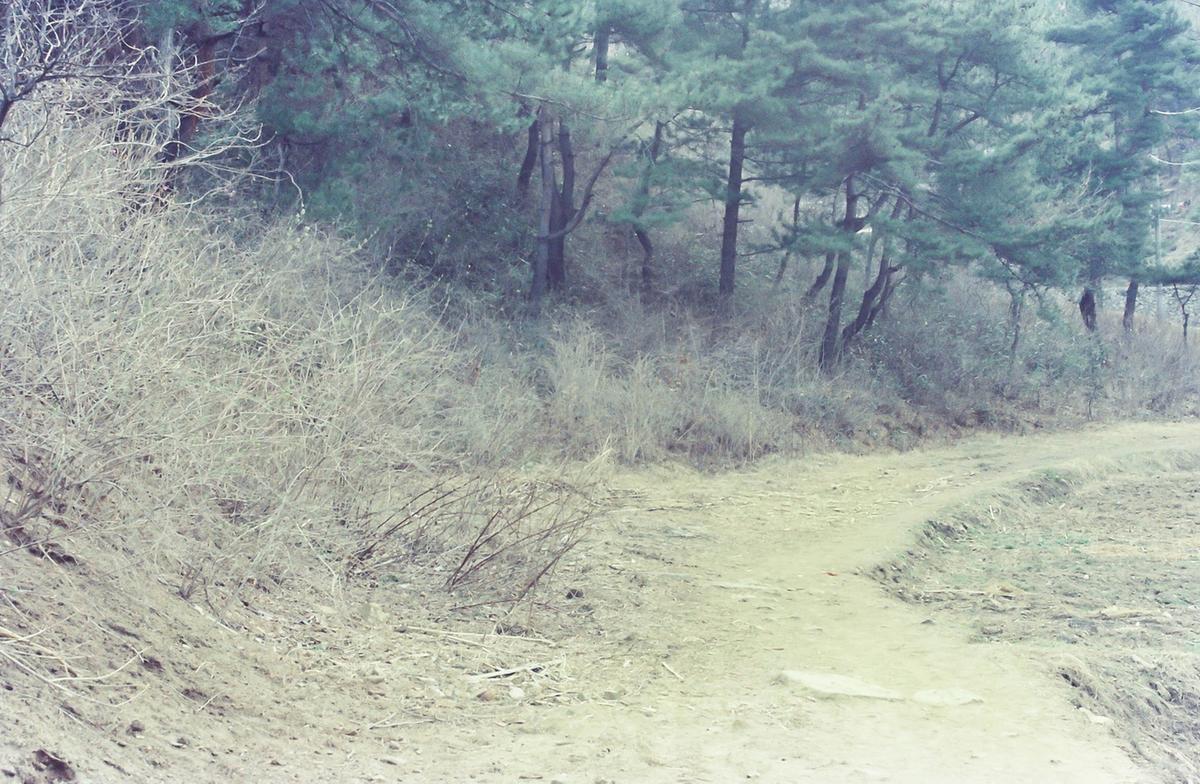 풍경